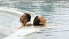 Terme di Saturnia Spa & Golf Resort 